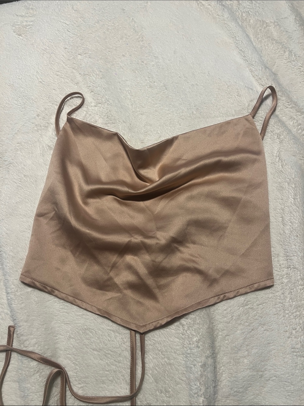 Iris Satin Cowl Neck Crop Top in Taupe
